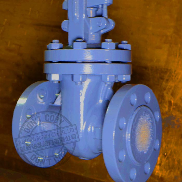 API CAST STEEL GATE VALVE.jpg