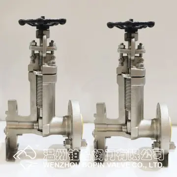 FORGED STAINLESS STEEL BELLOWS GATE VALVE