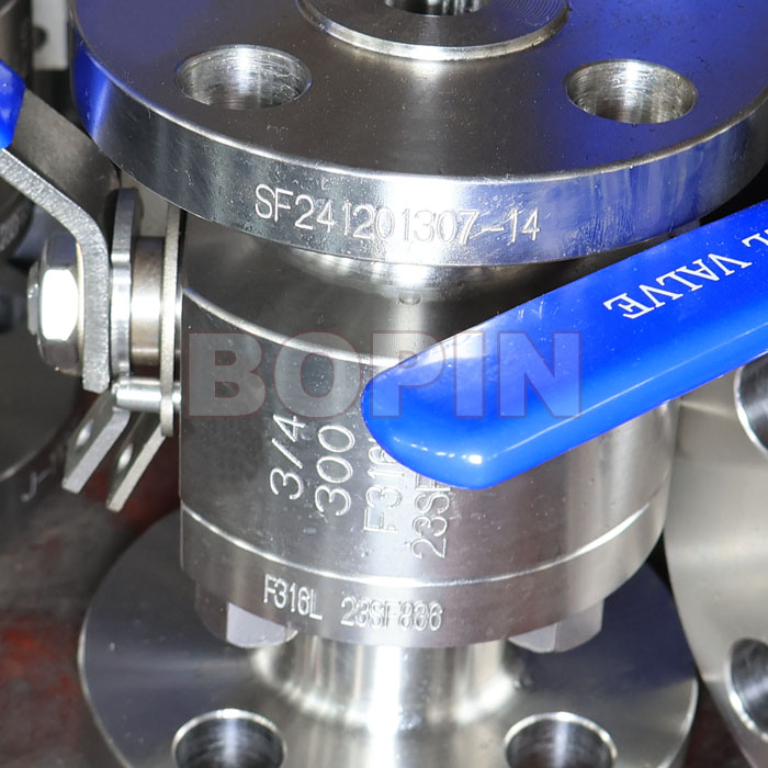 FORGED STEEL A182 F316L BALL VALVE.jpg