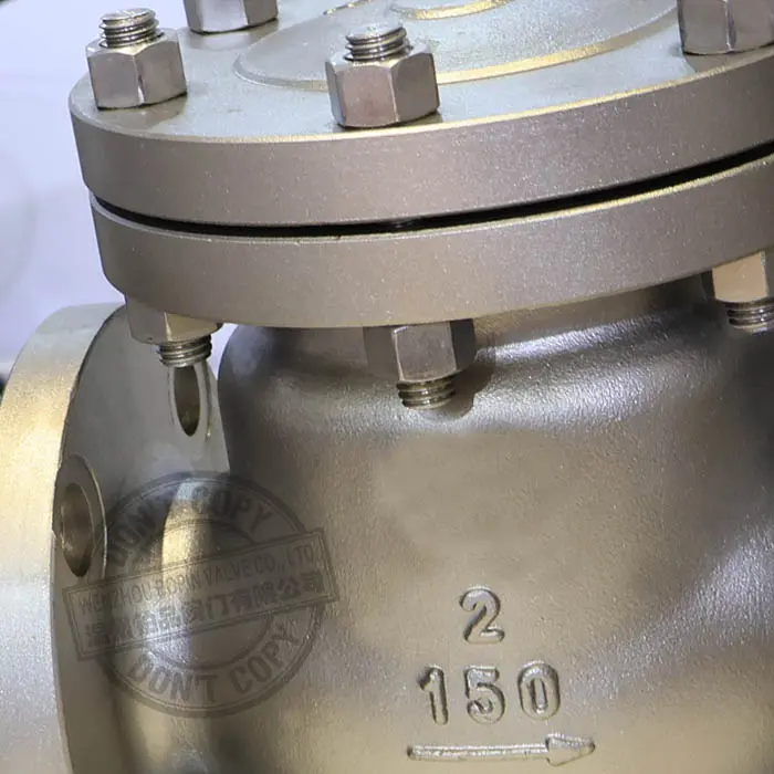 STAINLESS STEEL SWING CHECK VALVE.jpg
