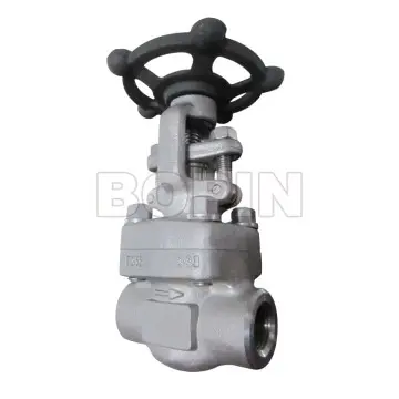 Forged Steel Valves
