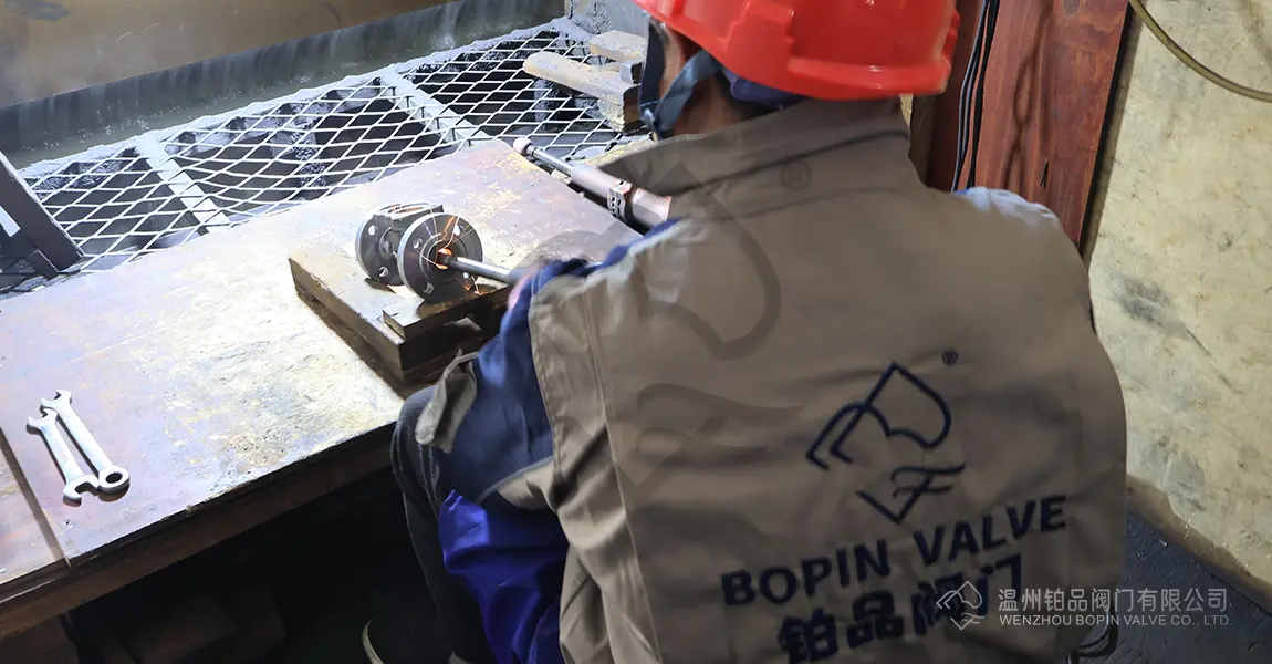 DIN Globe Valve