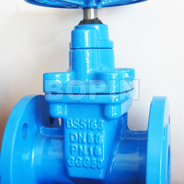 BS5163 Resilient Seated Gate Valve.jpg
