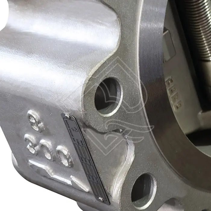 API 594 LUGGED DUAL PLATE CHECK VALVE.jpg