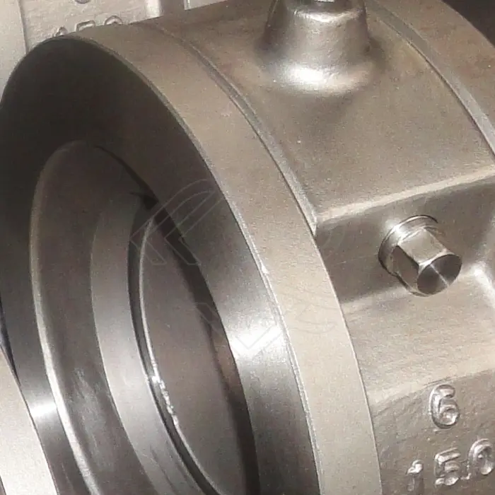 Wafer Type Check Valve.jpg