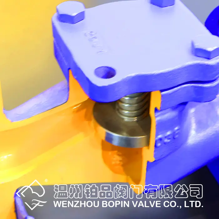 CHINA DIN LIFT TYPE CHECK VALVE FACTORY.jpg