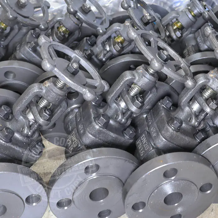 FLANGE TYPE FORGED GLOBE VALVE.jpg
