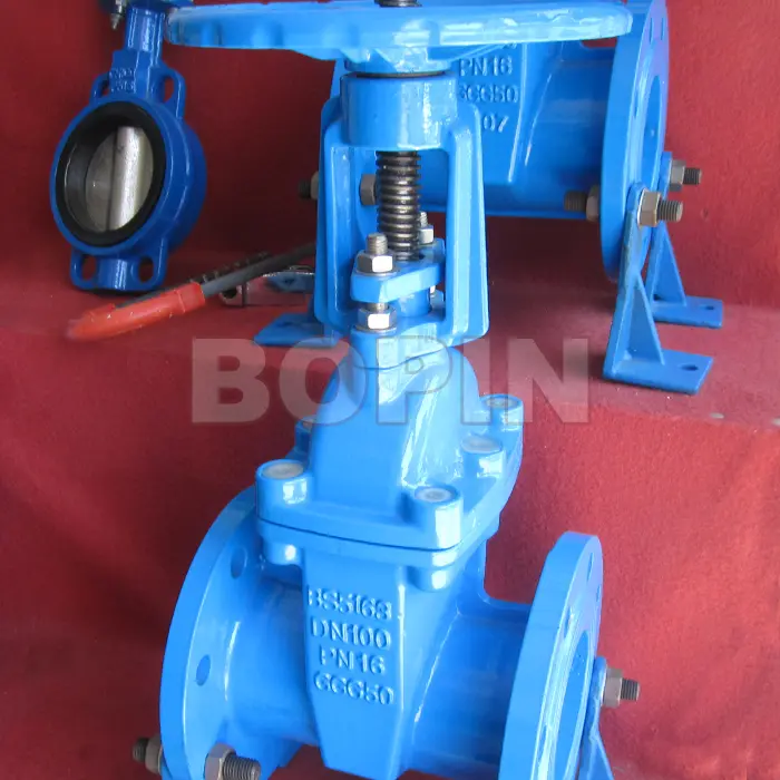BS5163 Rising Stem Resilient Seated Gate Valve.jpg