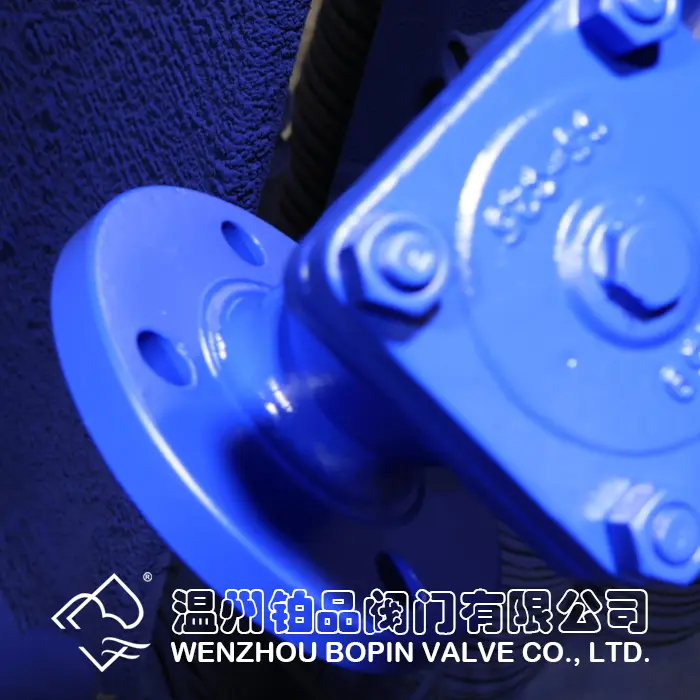 DIN FLANGED Y SHAP STRAINER.jpg