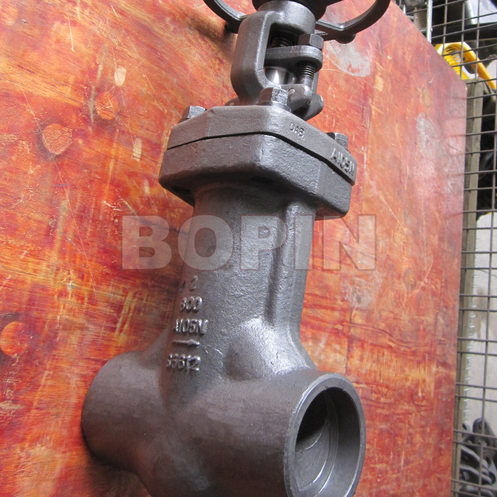 Forged Steel Bellows Sealed Globe Valve.jpg