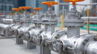 2025 Top 10 API Bellows Sealed Globe Valves: A Comprehensive Review