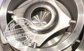Wafer Type Stainless Steel Disco Check Valve for Pipelines
