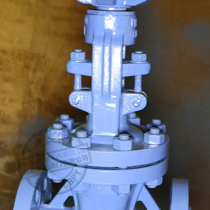 OS&Y BB Manual Operated Flexible Wedge Gate Valve.jpg