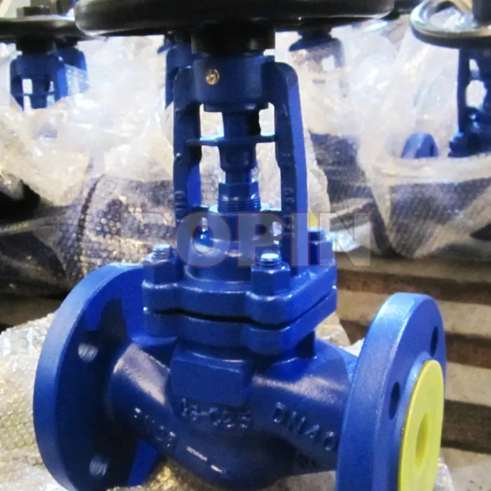 Cast Steel GS-C25 Bellows Sealed Globe Valve.jpg