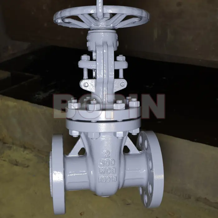CAST STEEL WEDGED GATE VALVE.jpg