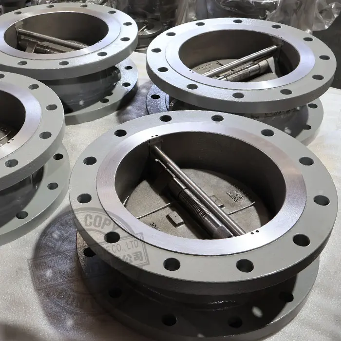 API 594 Cast Steel A216 WCB Retainerless Flange End Dual Plate Check Valve.jpg