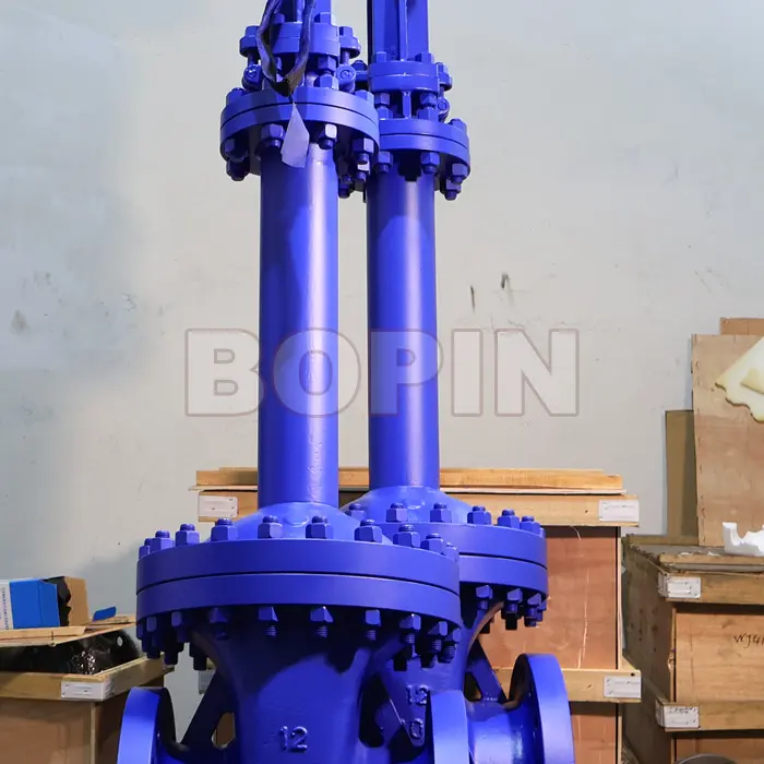 API A216 WCB 300LB 12 INCH BELLOWS SEALED GATE VALVE.jpg