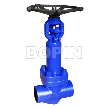 Bellows Sealed Valves