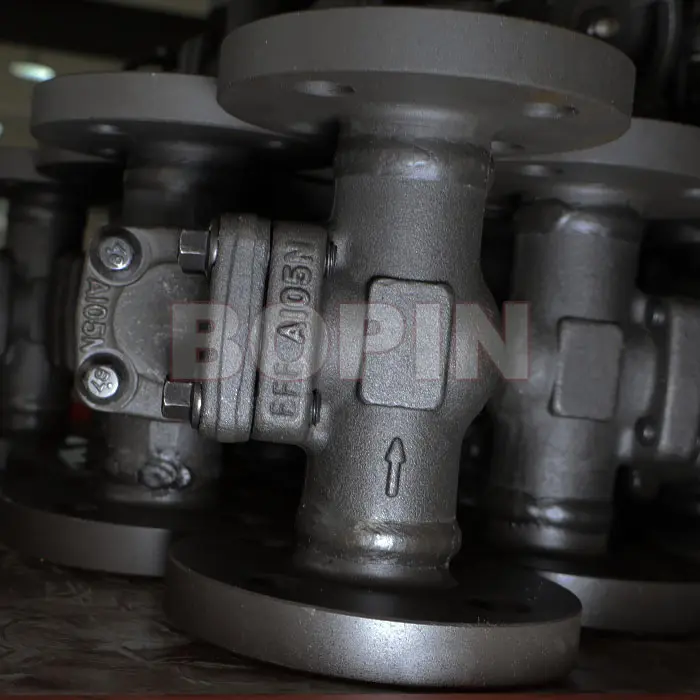 Forged Steel Check Valve.jpg