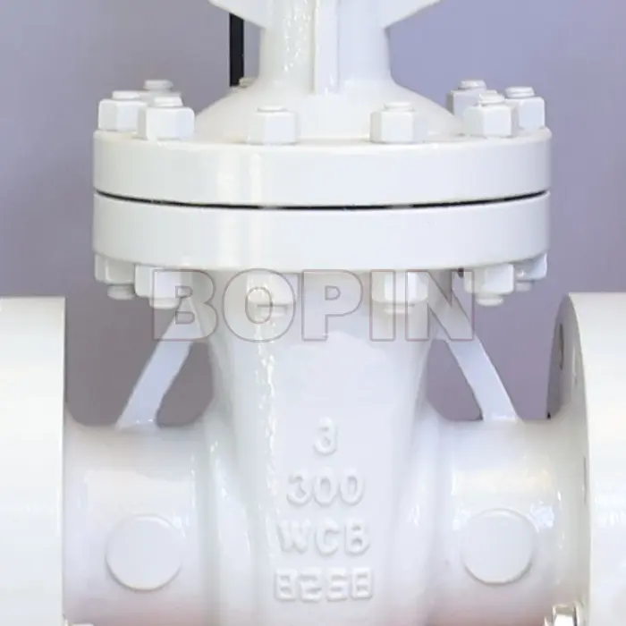API CAST STEEL GATE VALVE.jpg