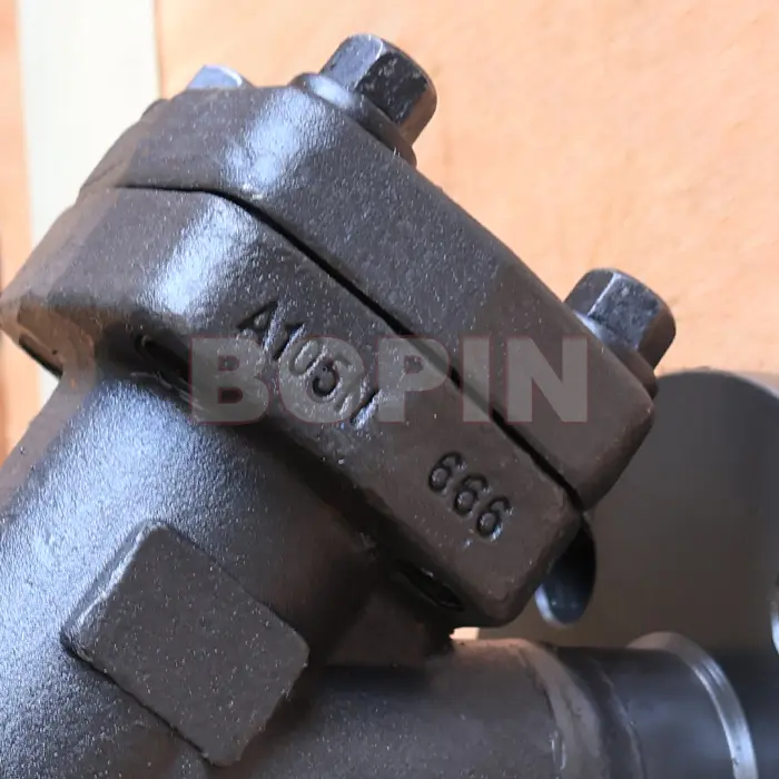 Flanged Forged Steel A105N Y Type Strainer.jpg