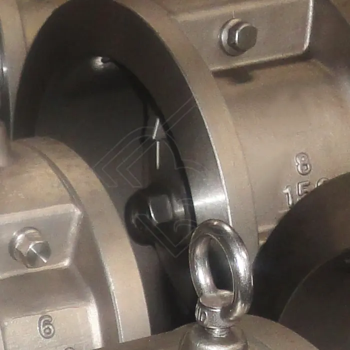 Single Dic Check Valve.jpg