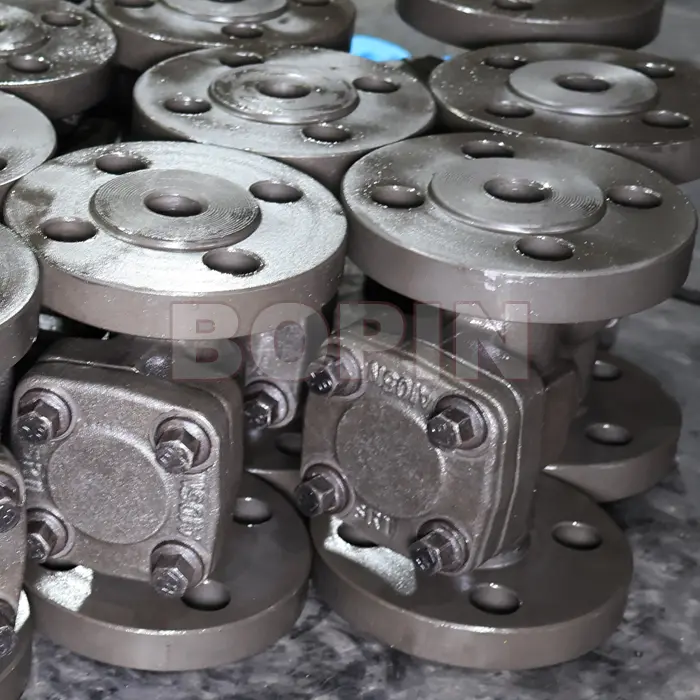 Forged Steel Check Valve