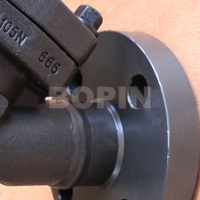Flanged Forged Steel Y-Strainer.jpg