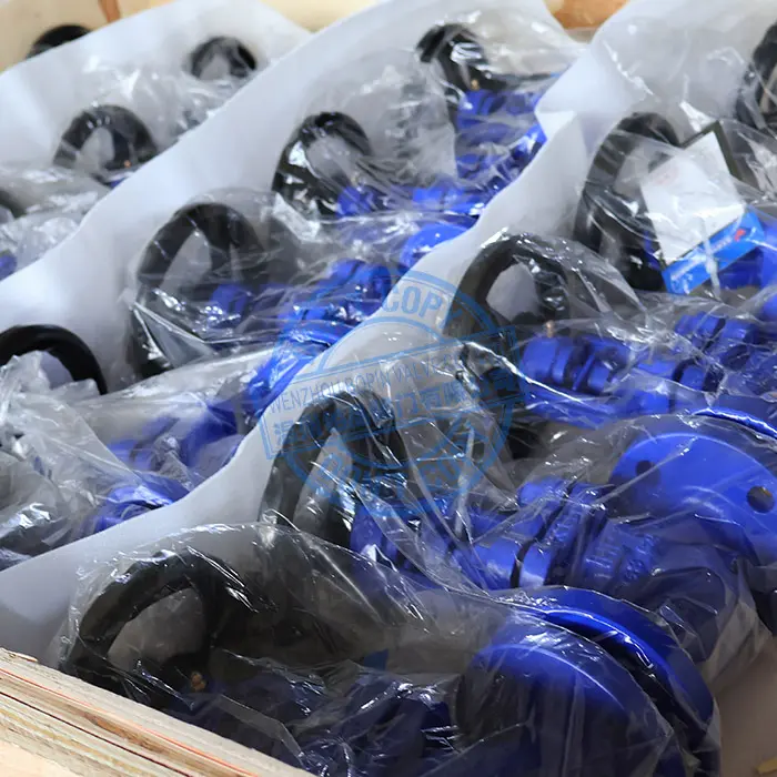 BELLOWS SEALED GLOBE VALVE.jpg