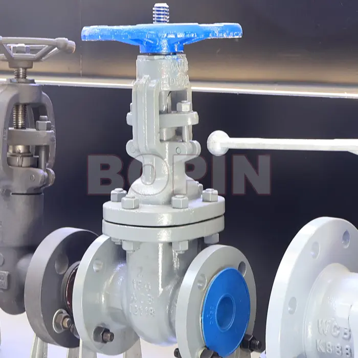 API 600 A216 WCB CAST STEEL WEDGED GATE VALVE.jpg