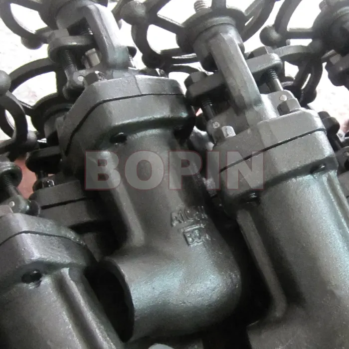 Forged A105N API 800LB Bellows Sealed Globe Valve.jpg