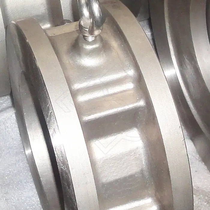 Wafer Check Valve.jpg
