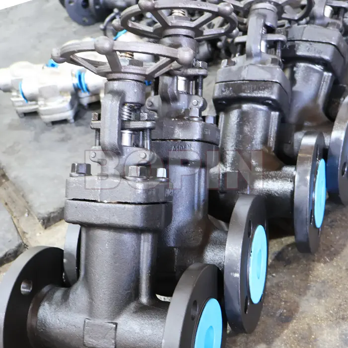 Forged Steel Gate Valves