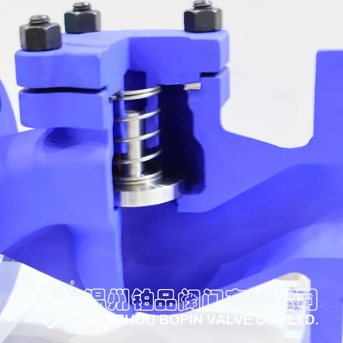 DIN FLANGE TYPE CHECK VALVE.jpg