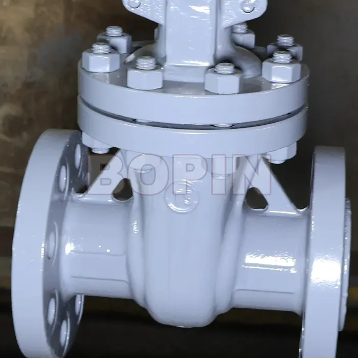 CAST STEEL GATE VALVE.jpg