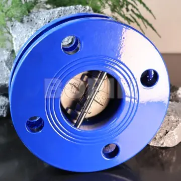 Cast Iron Wafer Type Dual Plate Check Valve