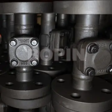 Lift Type Forged Steel Check Valve