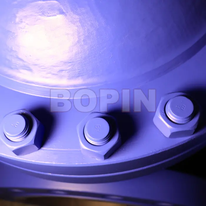 API 300LB Cast Steel A216 WCB Bellows Globe Valve.jpg