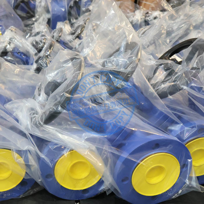 DIN BELLOWS GLOBE VALVE.jpg