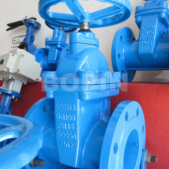 cast iron resilient seated gate valve.jpg